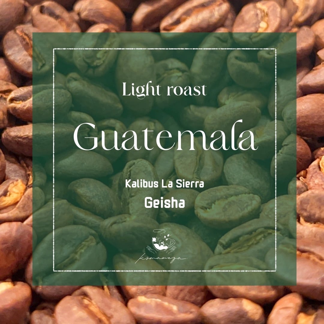 【グアテマラ】COE#8 Geisha Washed｜Light Roast