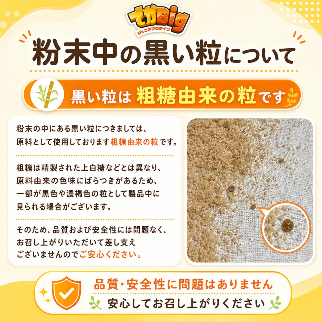 6袋　でかBig
