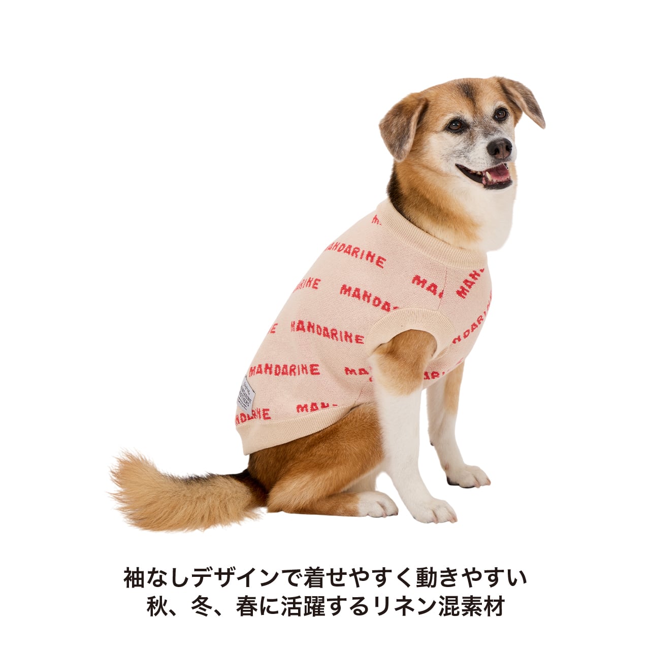 MNDRN LOGO KNIT（XS.S）マンダリンロゴニット | MANDARINE BROTHERS