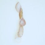 Snow Memory - アゲートヒーリングチャイム / Agate Sun Catcher Wind Chime