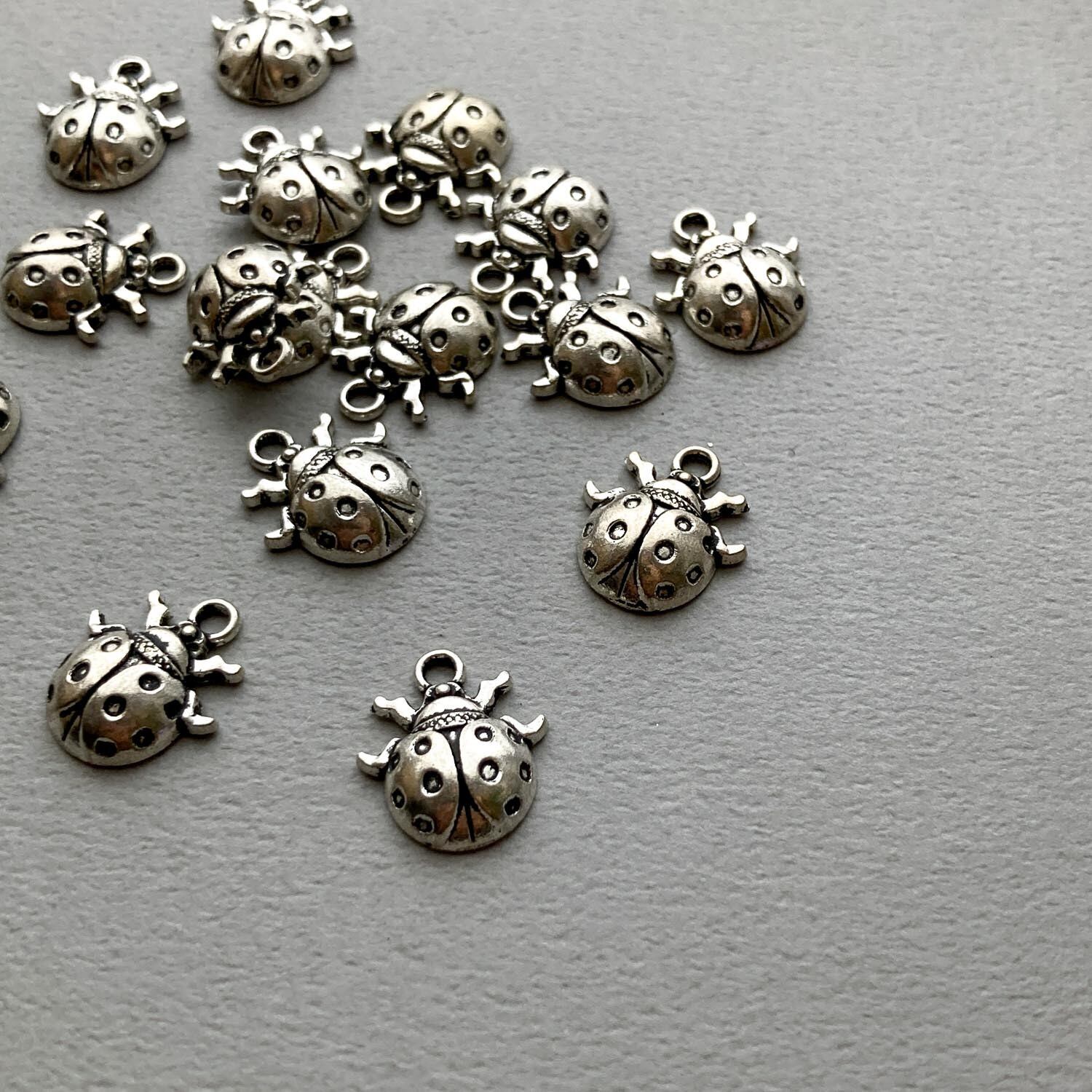 アンティーク風シルバーテントウムシチャーム | Dua-アクセサリー