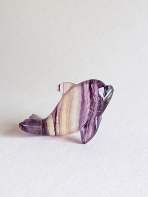 Fluorite フローライト ⭓ イルカ ⭔ CARVING
