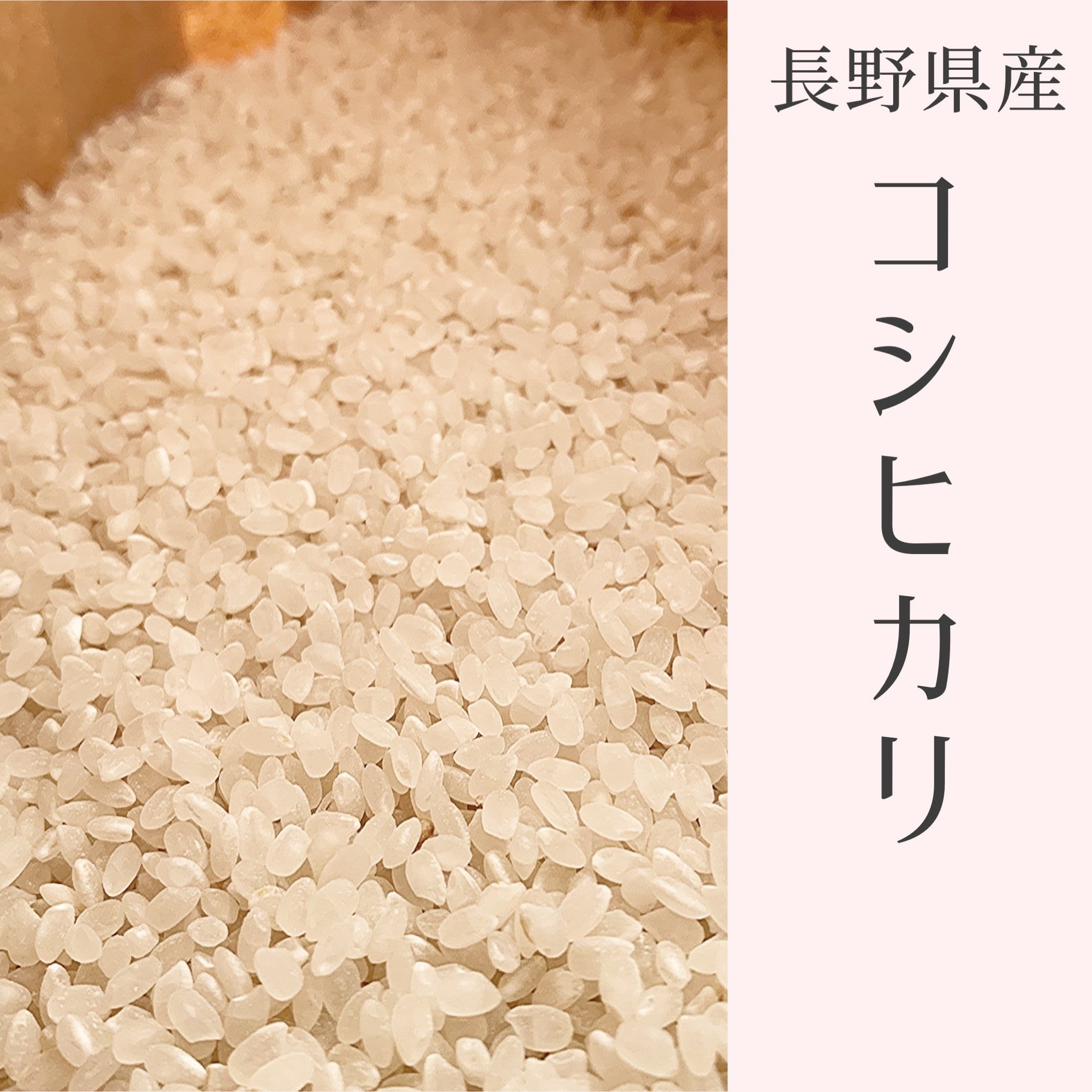 令和2年産】長野県産コシヒカリ白米30kg　米/穀物