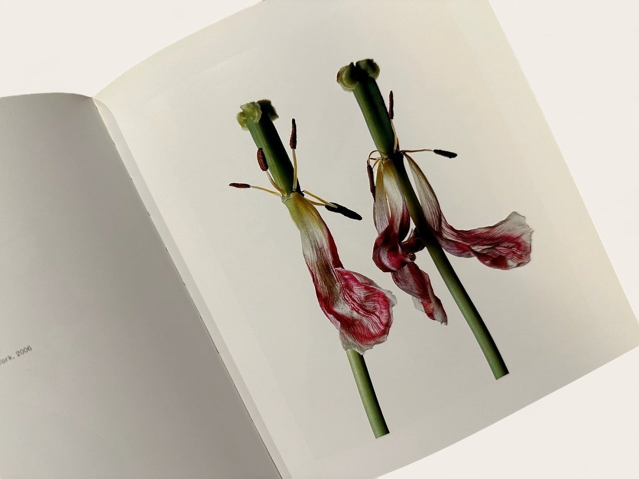 SF016】【AUTHOR'S PRESENTATION COPY with SIGNED LETTER】 IRVING