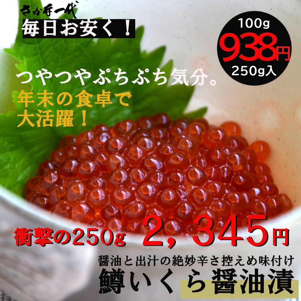 ☆送料無料☆ 当日発送可能 さかなくん専用 fawe.org