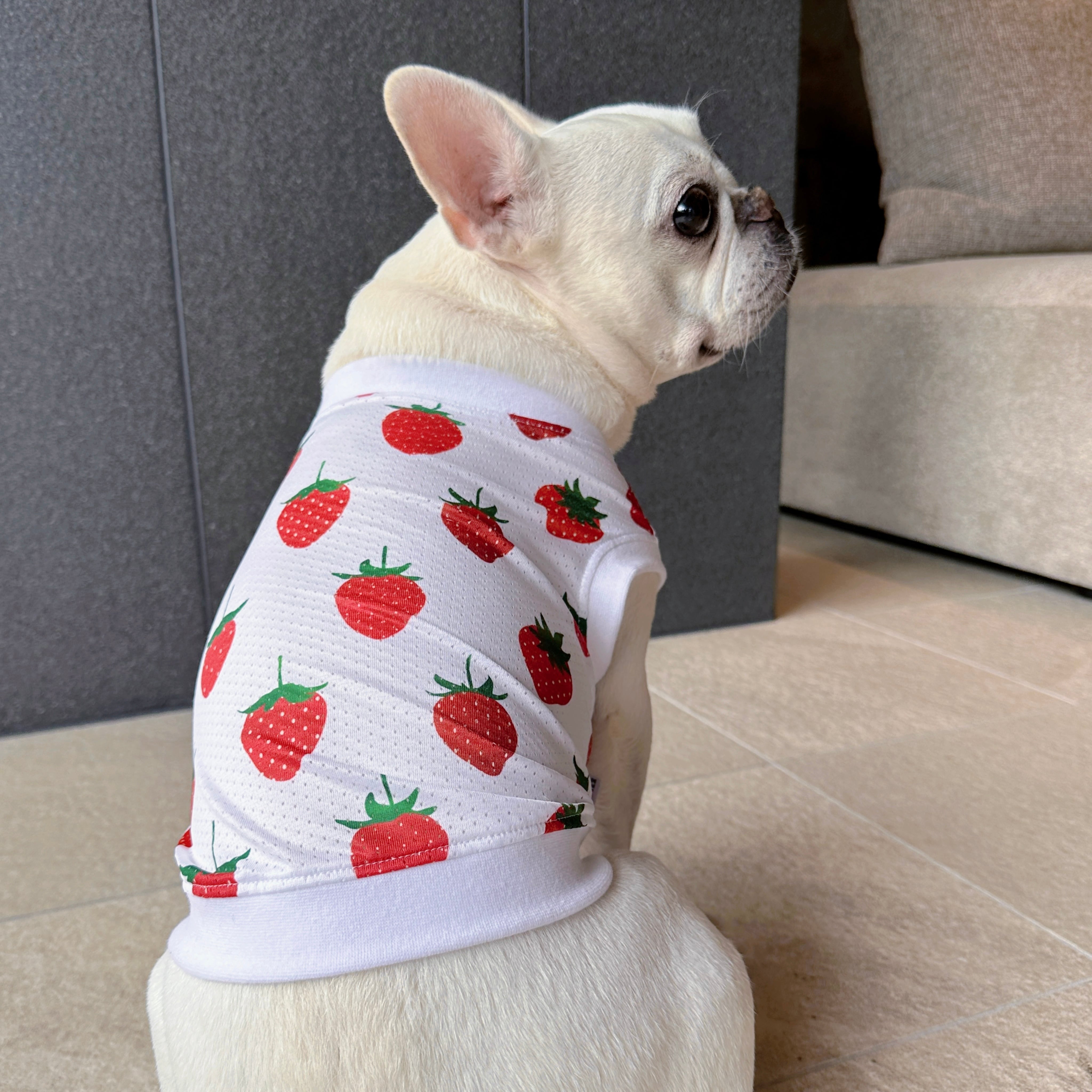オールメッシュタンクトップ＊いちご＊ | 犬服BUTTER