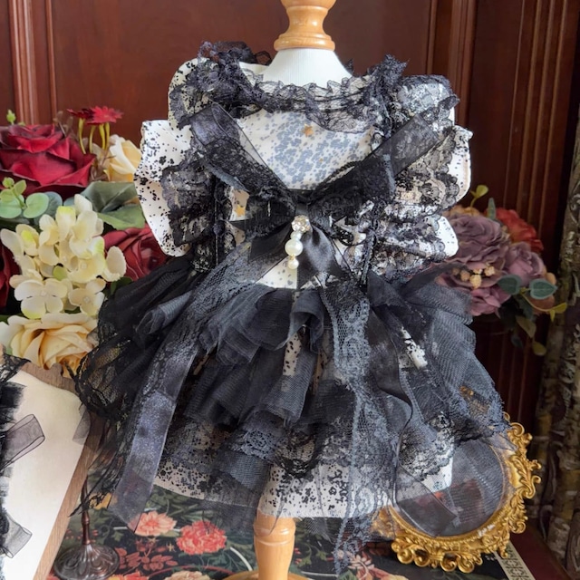 Noir Lace Ribbon Dress