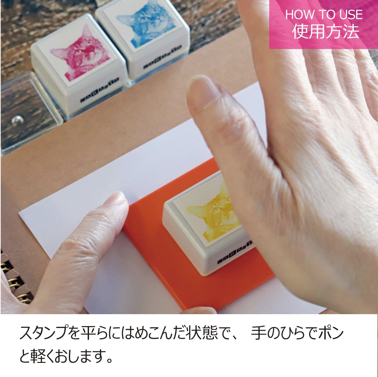 カラースタンプCARASTA ゴッホ/ひまわり CR-004 | 浸透印
