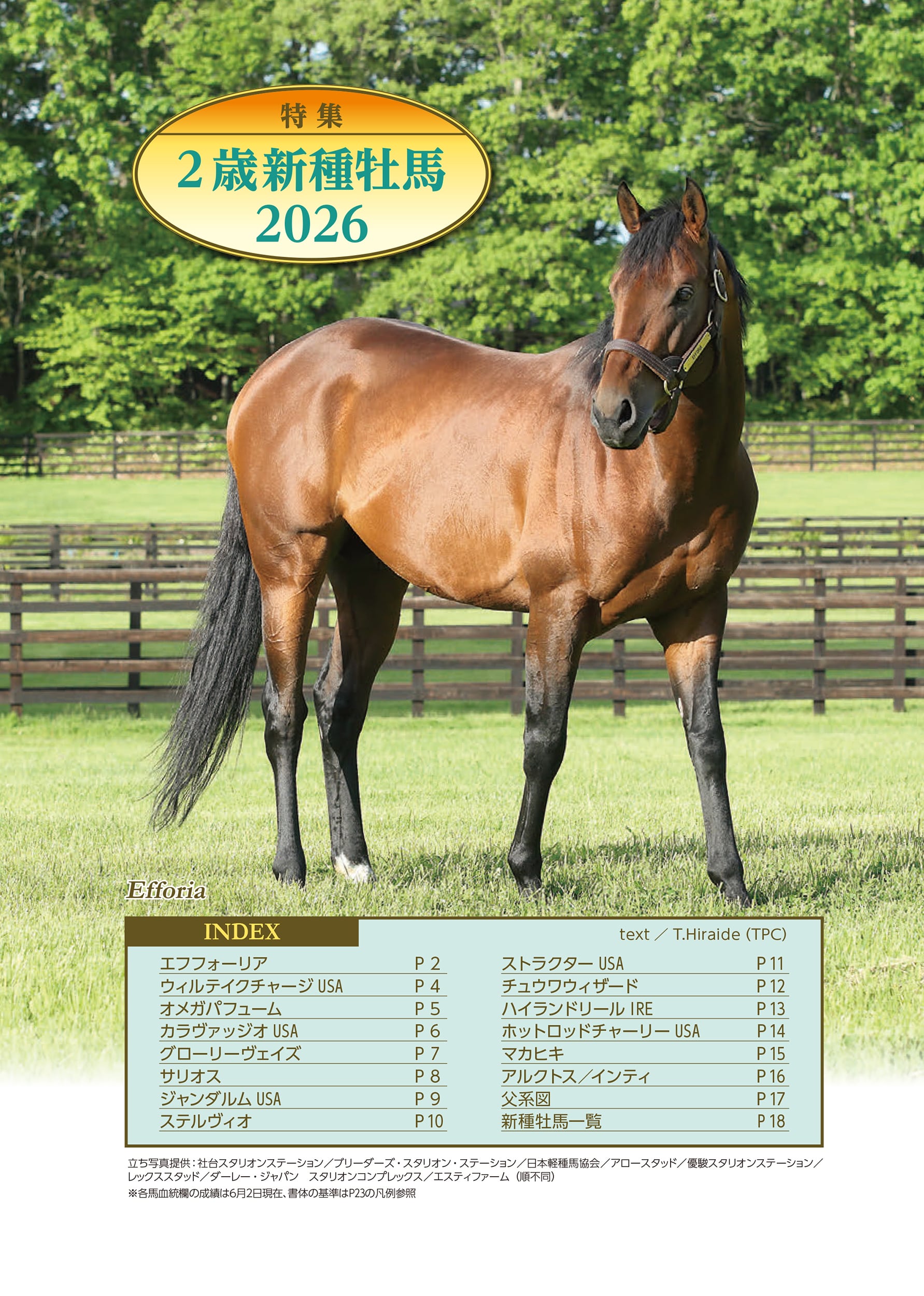 競馬四季報 2026年夏号(全国版) 通巻218号 | サラブレッド血統センター