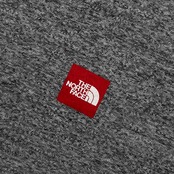 THE NORTH FACE ノースフェイス ワンポイント 半袖 Tシャツ L/グレー メンズ