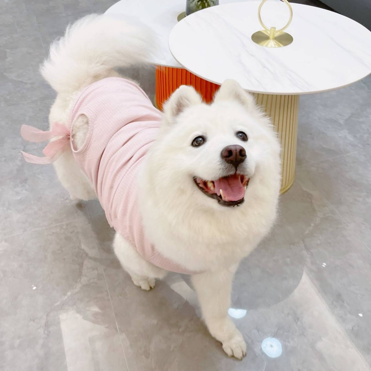 受注生産 3XL~6XL 腰のリボンがキュートな薄手のノースリーブ