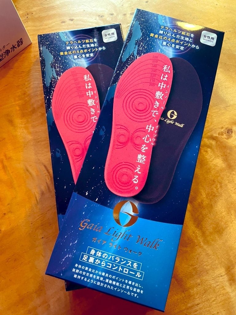 ガイアライトウォーク レディース用