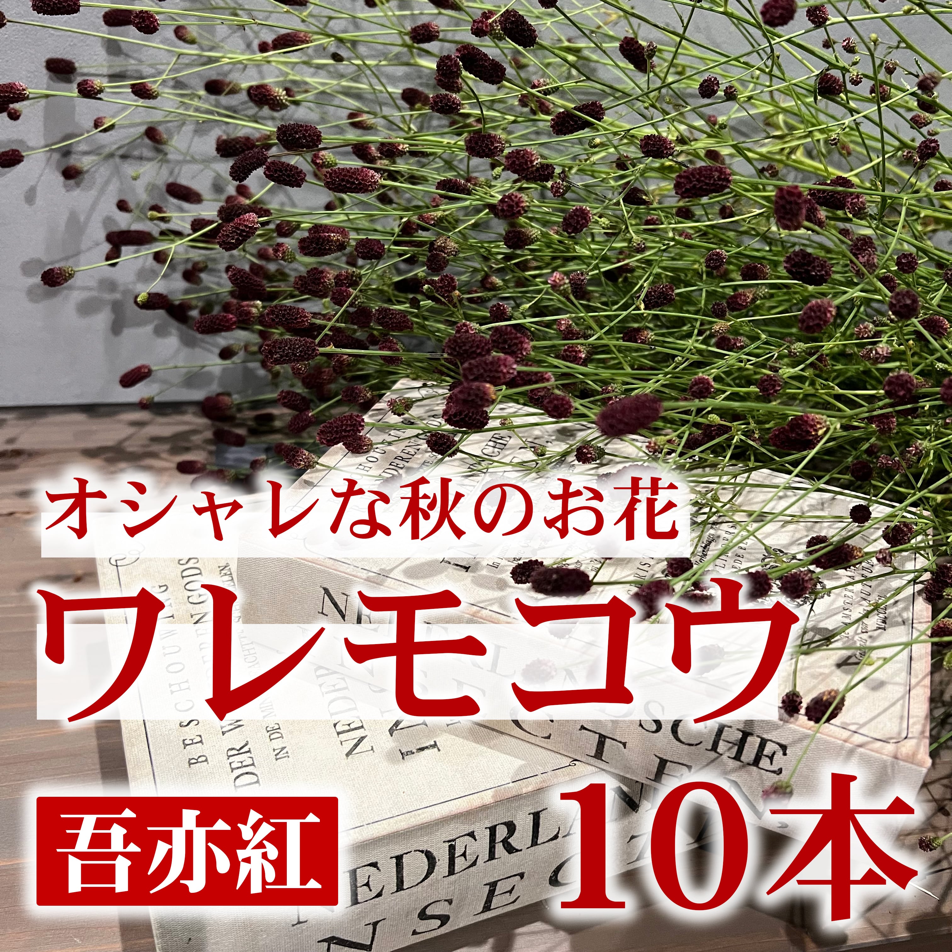 【秋を楽しむ】オシャレなお花☆ワレモコウ(吾亦紅)10本★フラワーロス支援