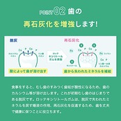 【トクホ】ロッテ キシリトールガム フレッシュミント ファミリーボトル 143g