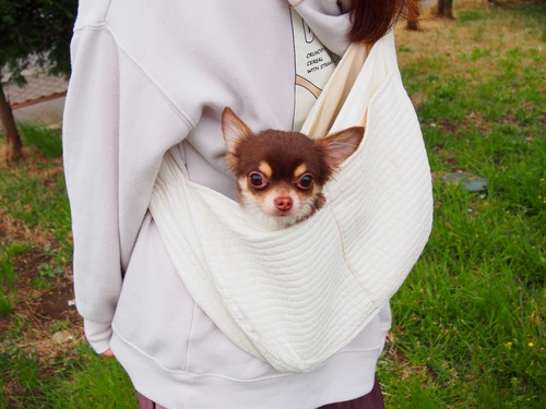 お散歩スリング