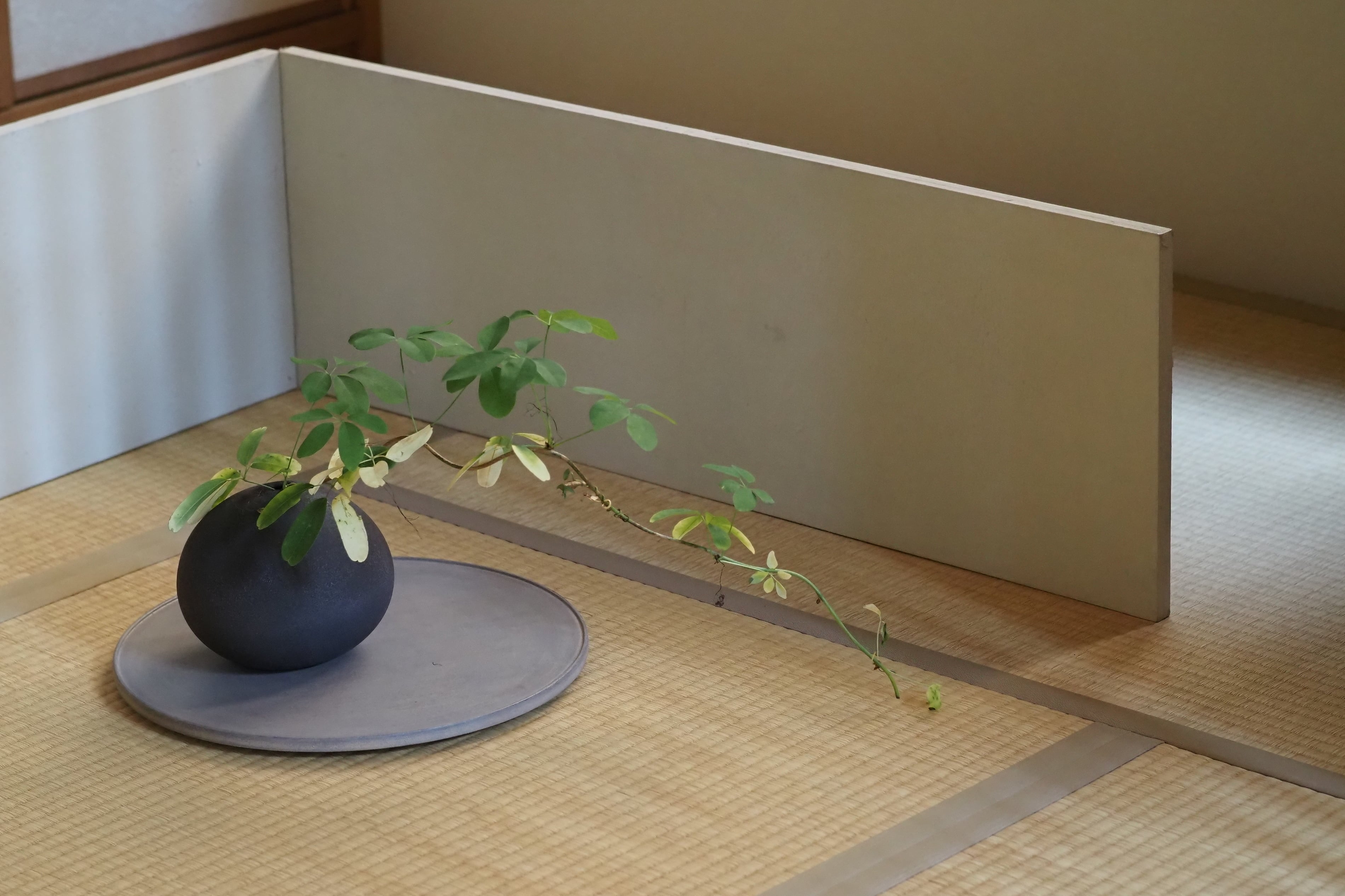 富井貴志 70.白漆丸盤φ345 | 陶屋なづな