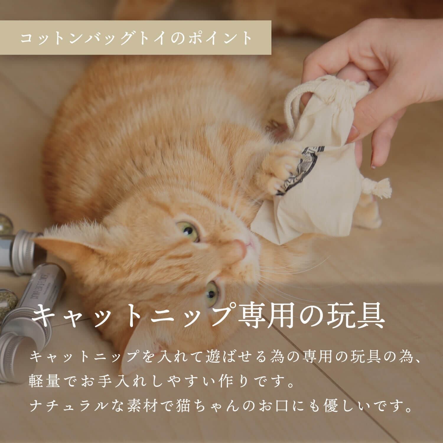 キャットニップ Sale 97 Off