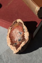 ペトリファイドウッド プレート |  Petrified Wood Plate ◇ 天然石・鉱物・パワーストーン | st00409