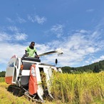 雪ノ王　精米（魚沼産コシヒカリ） / 10kg / 令和7年産