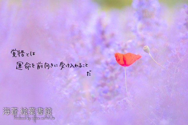 【ポストカード】覚悟とは運命を前向きに受け入れることだ【ふぉと言葉】