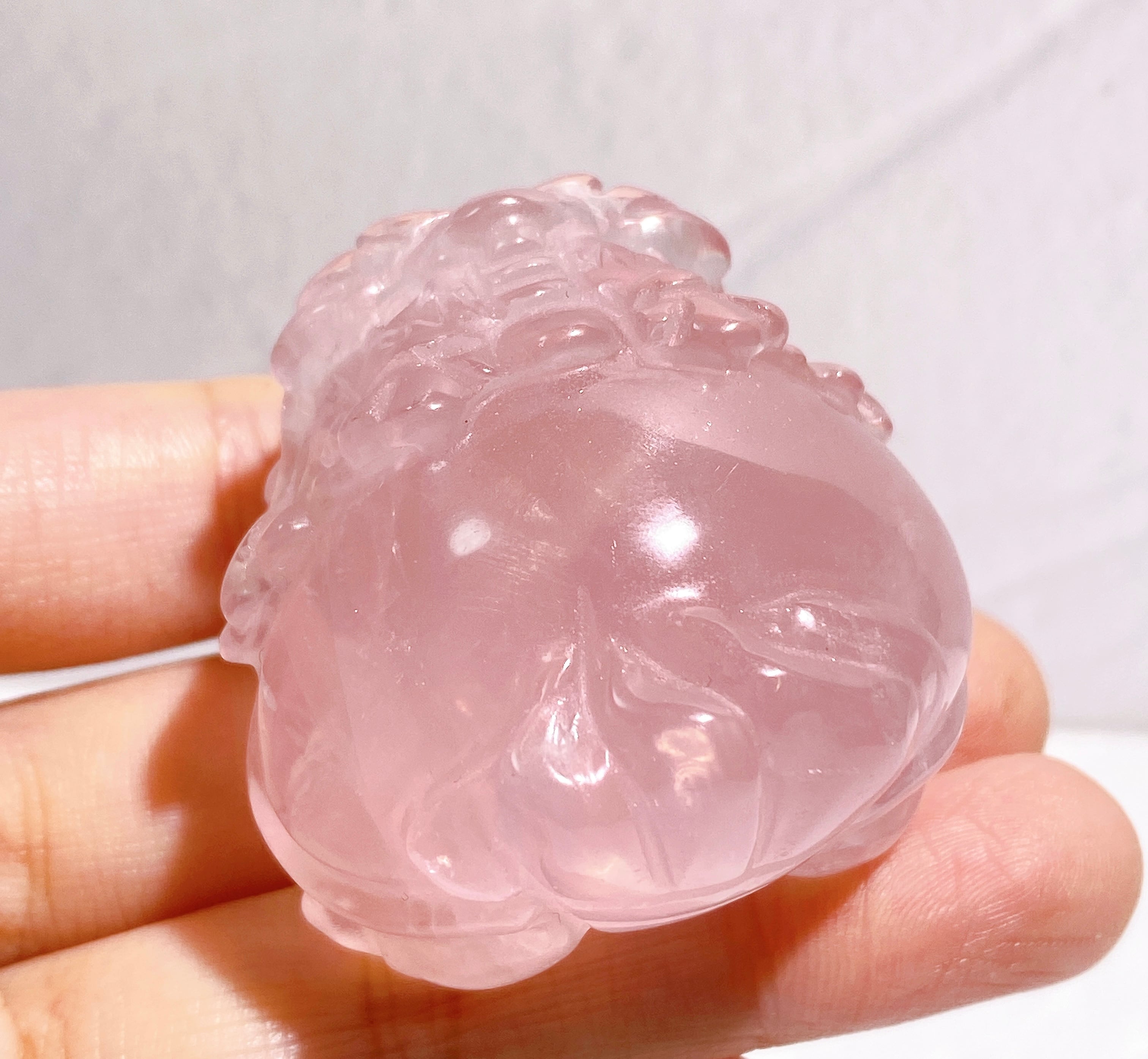 龍亀(ロングイ) | 9rinto