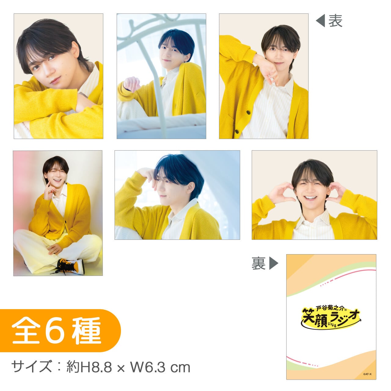 STUDIO HISASHI オリジナルピックキーホルダー | AT-X SHOP