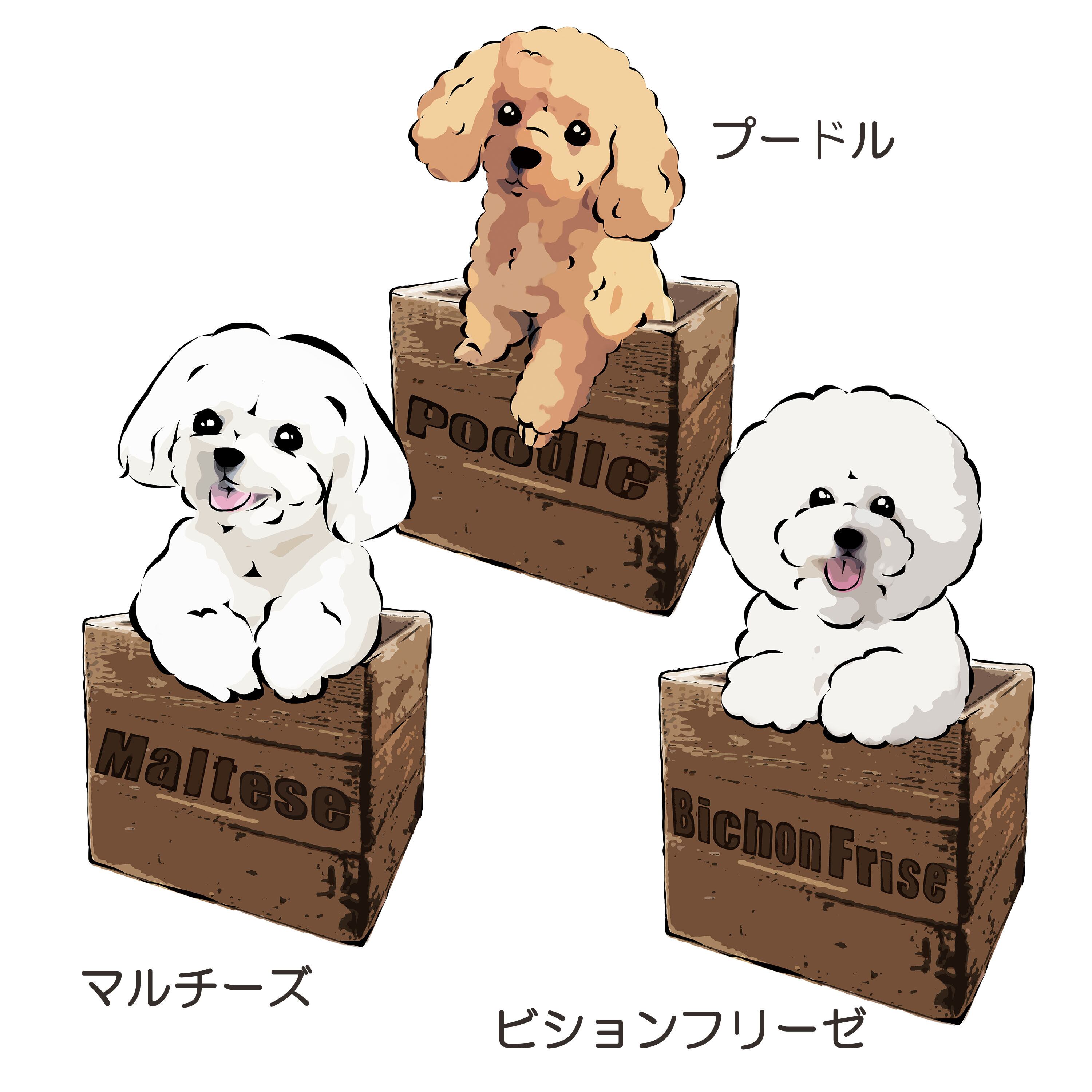 受注生産】箱入り犬Tシャツ コーギー、柴犬、パグ、ペキニーズ、チワワ