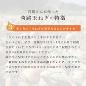 【淡路島産】 熟成サラダ玉ねぎ　熟れっ玉 2Kg
