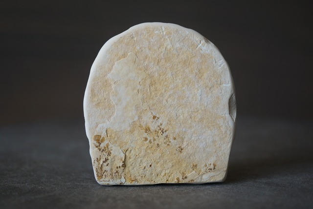 デンドライト 忍石 Dendritic limestone 1310