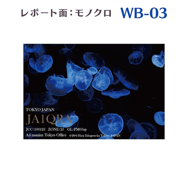 QSLカード　デザイナーズカード　WB03　レポート面あり　100枚～