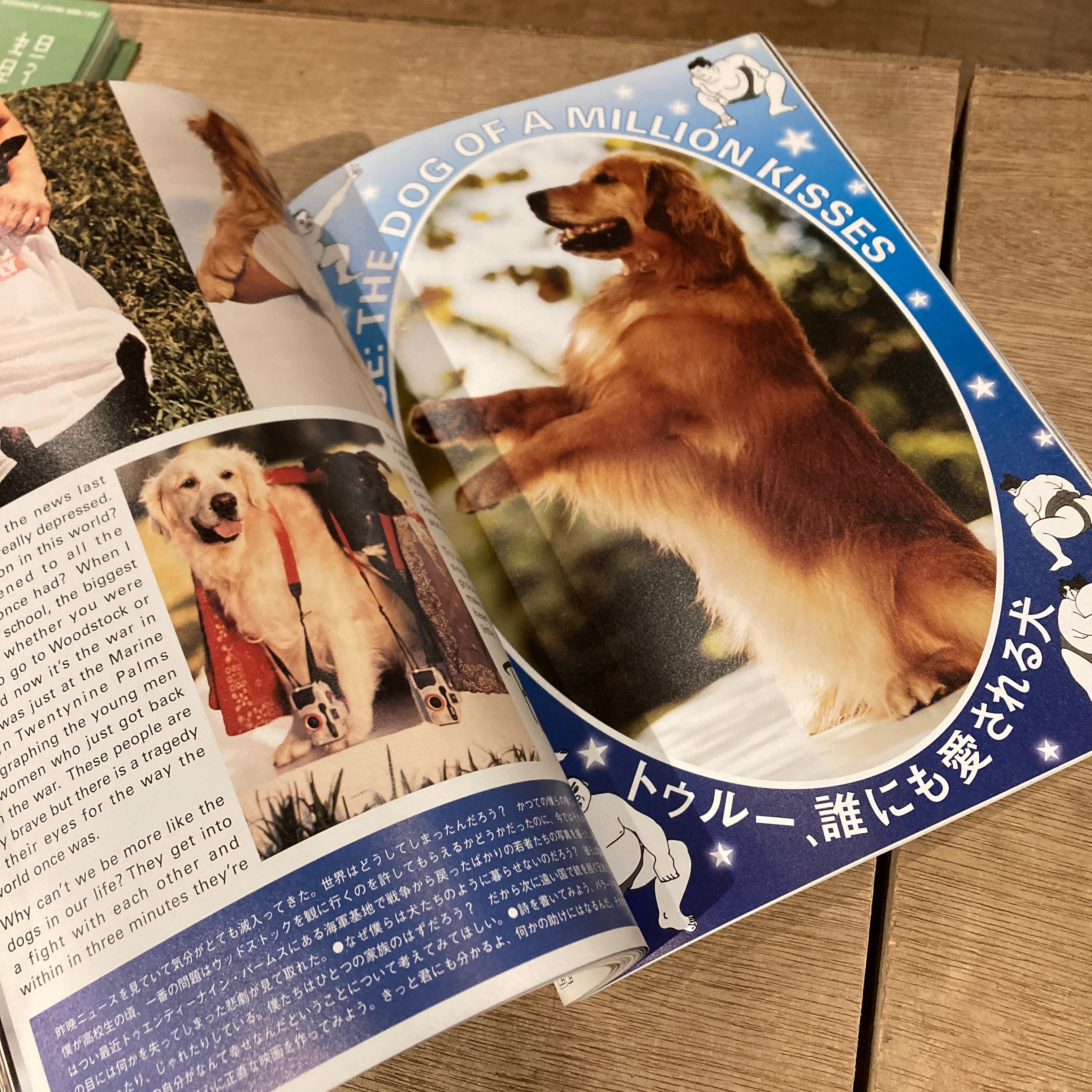 BRUTUS 2005年8月号 写真家ブルース・ウェーバー 犬との生活 | 百年