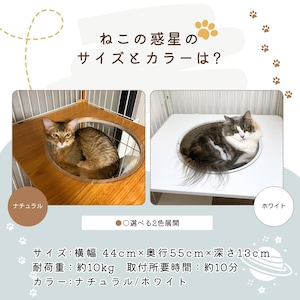 【ienekoケージオプション(ねこの惑星)】ボウルとステップ台が一体型で安定感が抜群です!