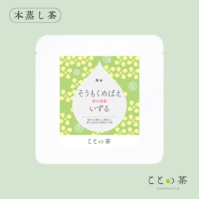 ことの茶　本蒸し茶／知覧