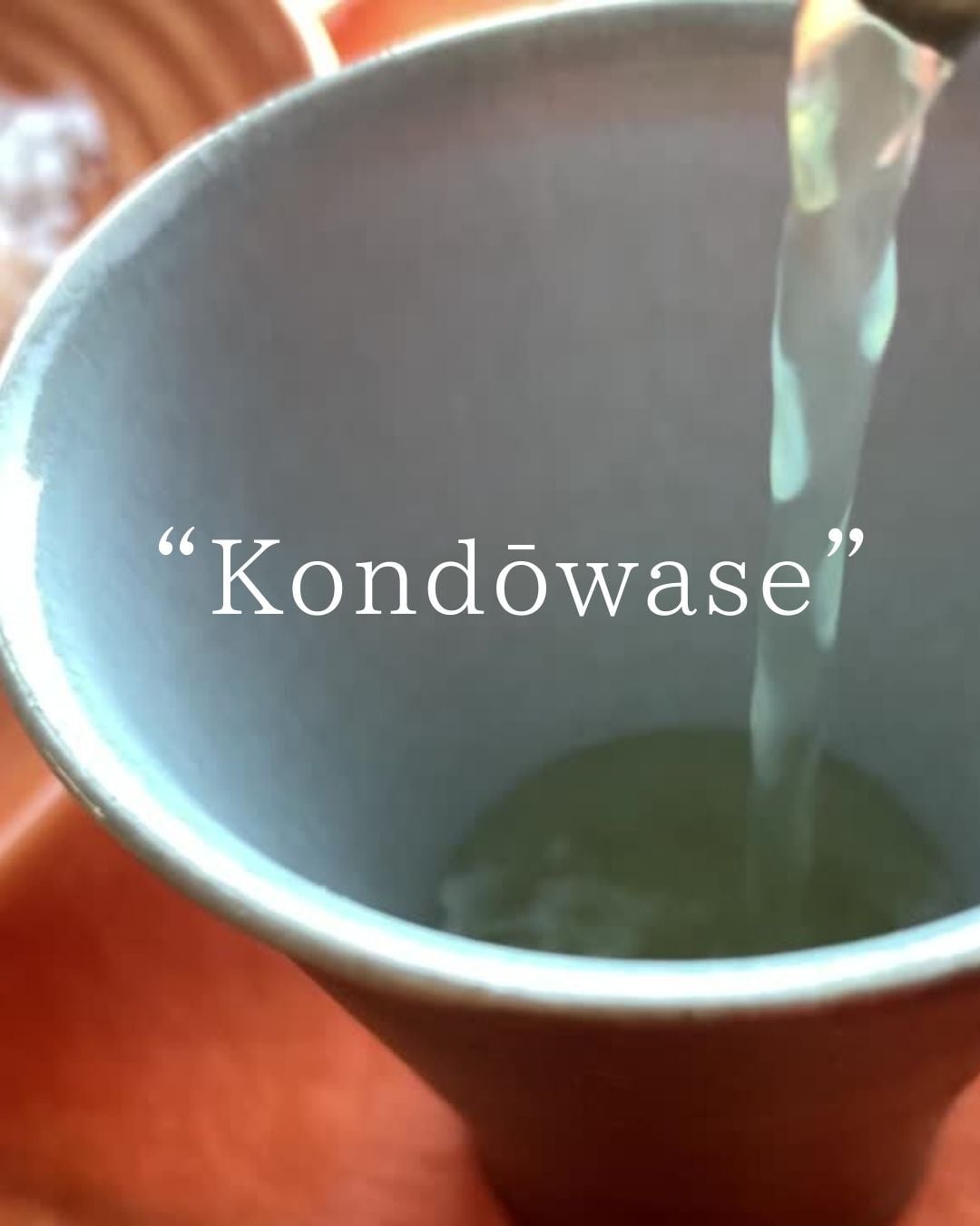 手摘み！大走り新茶2023 丸子近藤早生