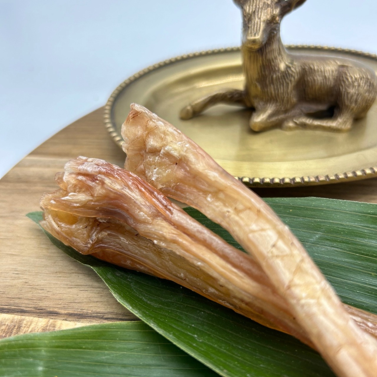 極太ローングケンケンカミカミ