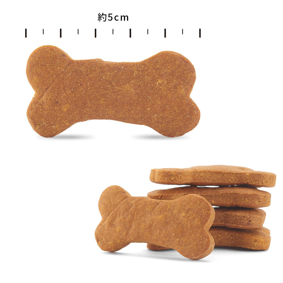 グレイン＆グルテンフリー】パンプキンビスケット〈税込価格〉 | PPFC