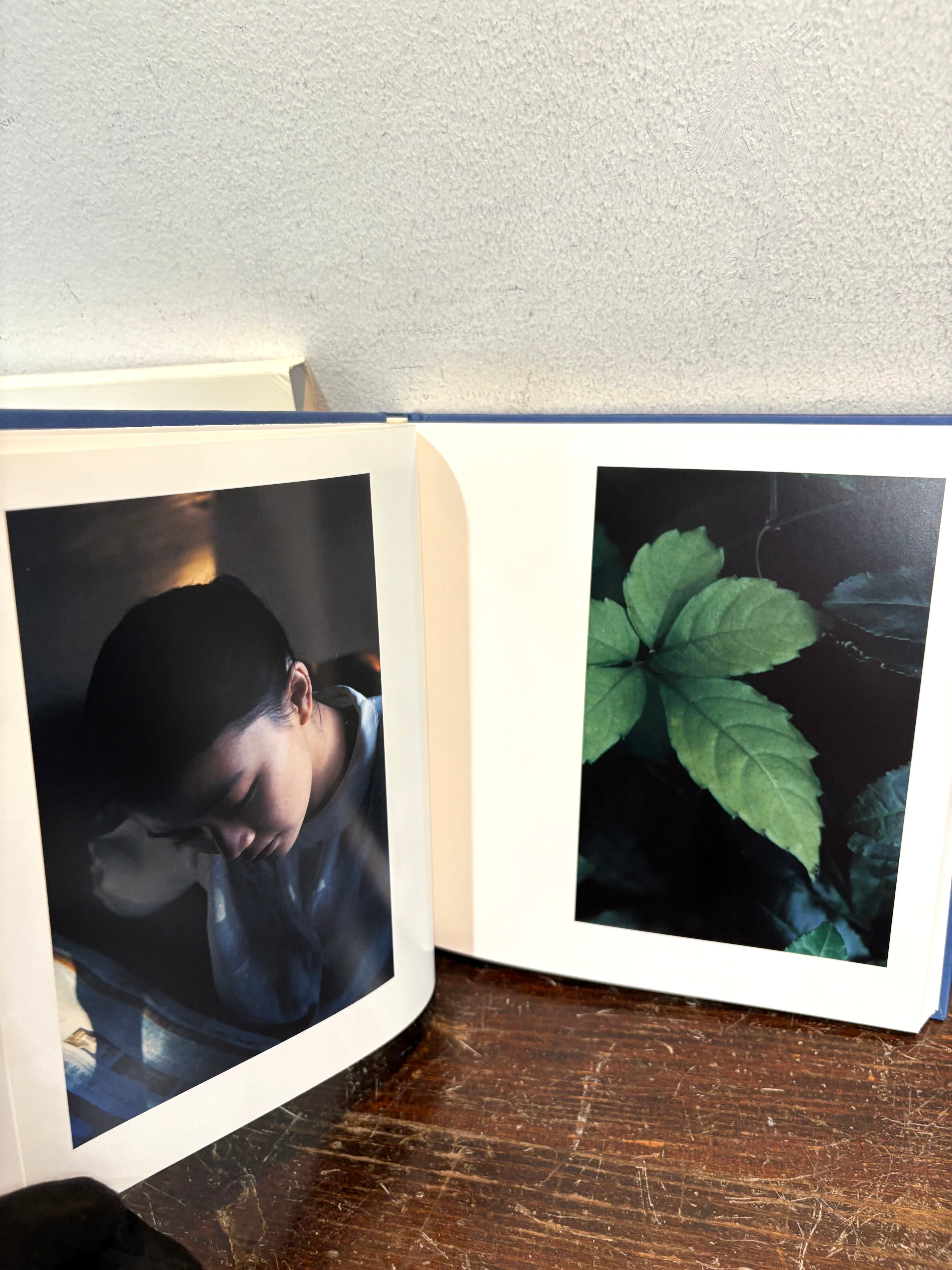 A DREAM 蒼井優 上田義彦写真集 | PAY ID