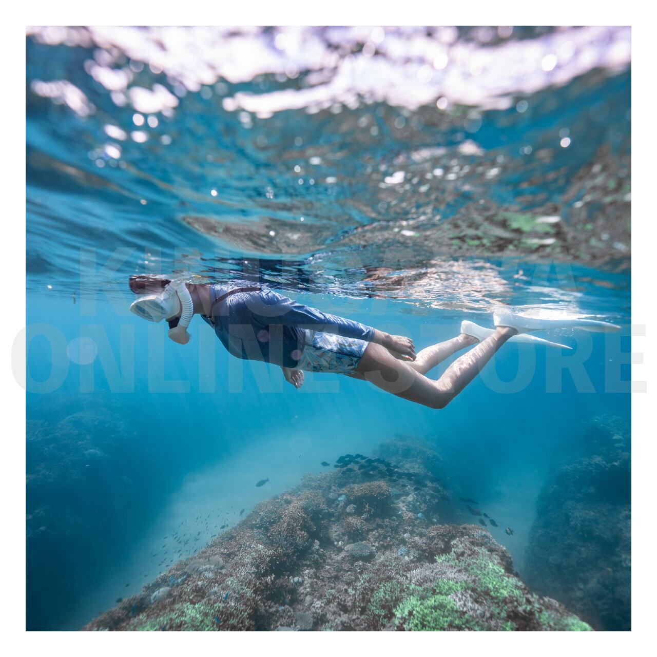 【OnlineStore限定】ラッシュロングスプリング ウィメンズ GULL ガル ラッシュガード