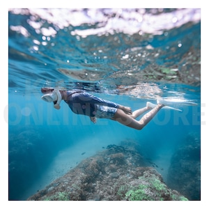 【OnlineStore限定】ラッシュロングスプリング ウィメンズ GULL ガル ラッシュガード