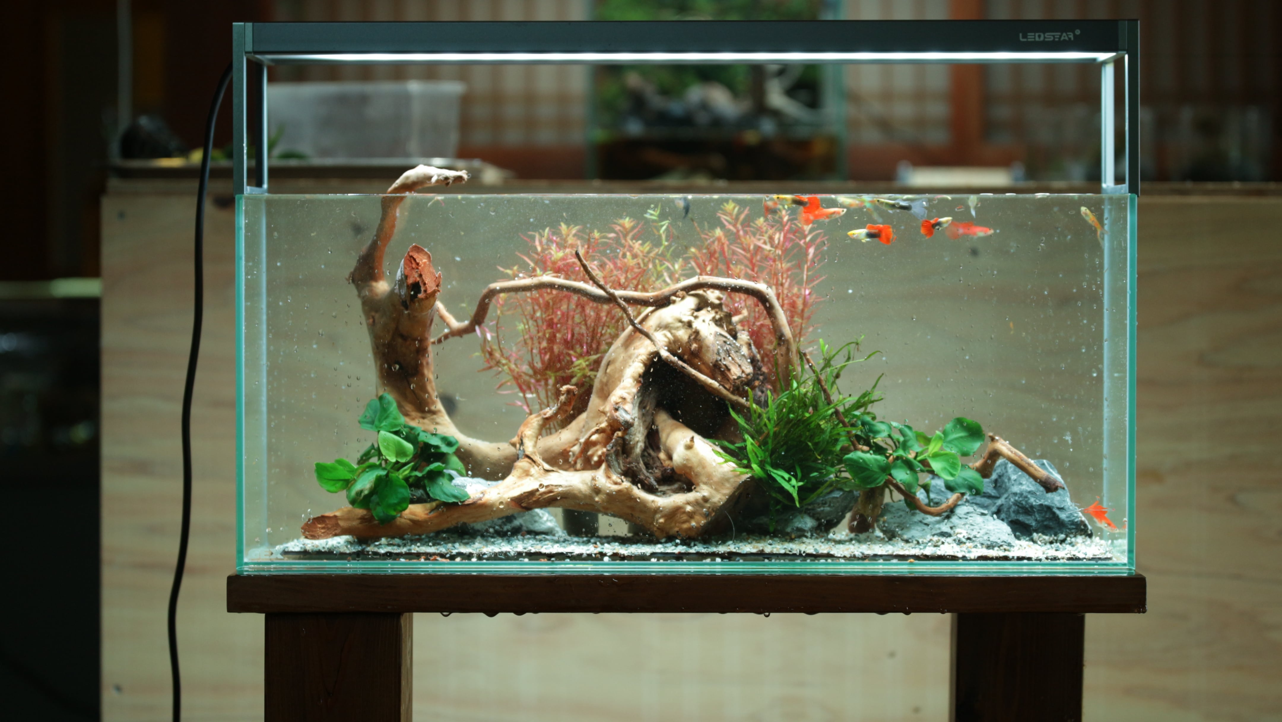 水槽屋oAsis
