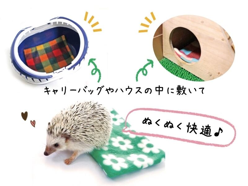 ハリネズミハウス ストライプスター コミック】新装版 星と ハリネズミハウス ストライプスター コミック】新装版 星と