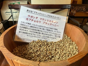 【限定】ウガンダ マウントエルゴン カプチョルワ ブラックハニー(200g)
