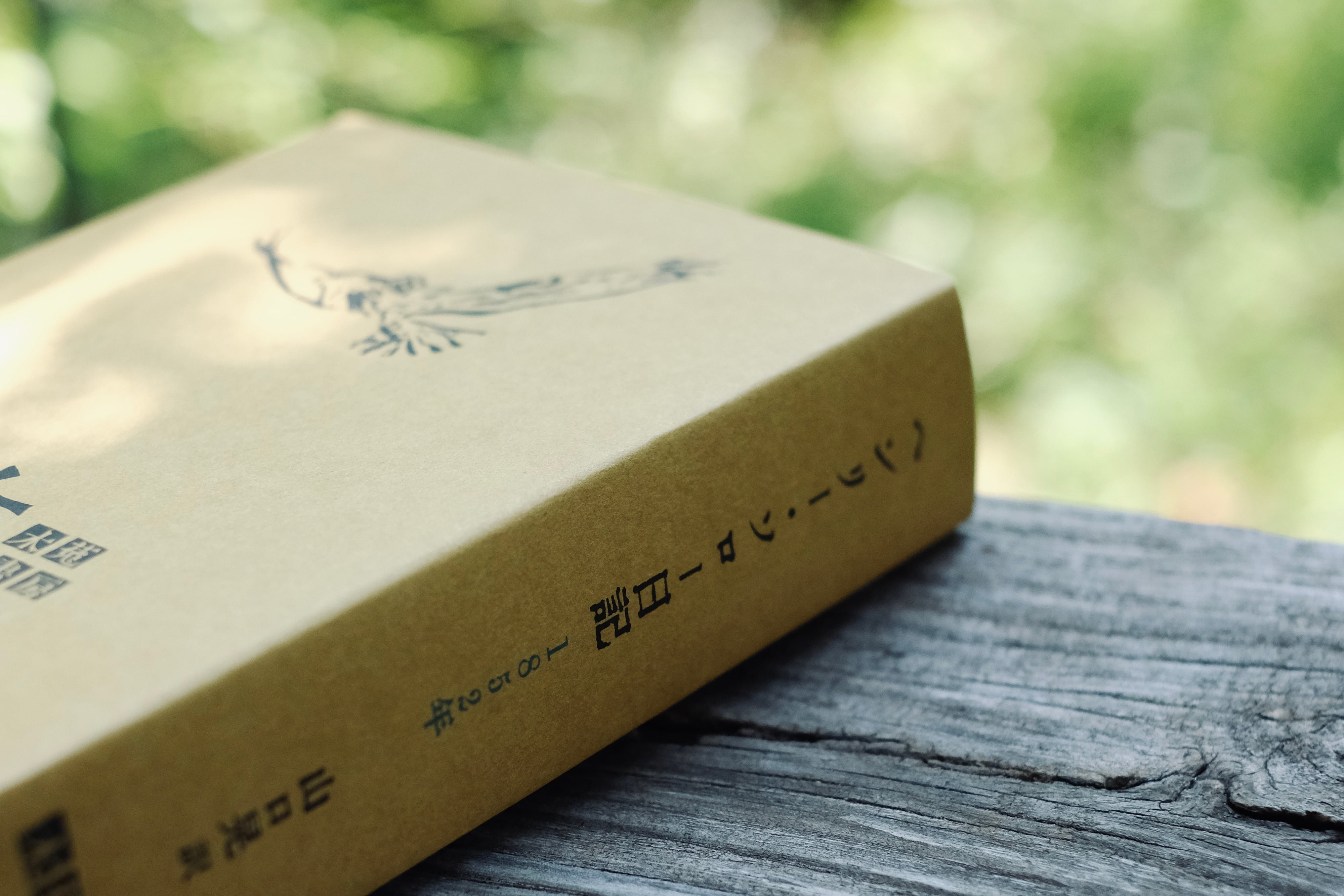 『ヘンリー・ソロー日記 1852年』