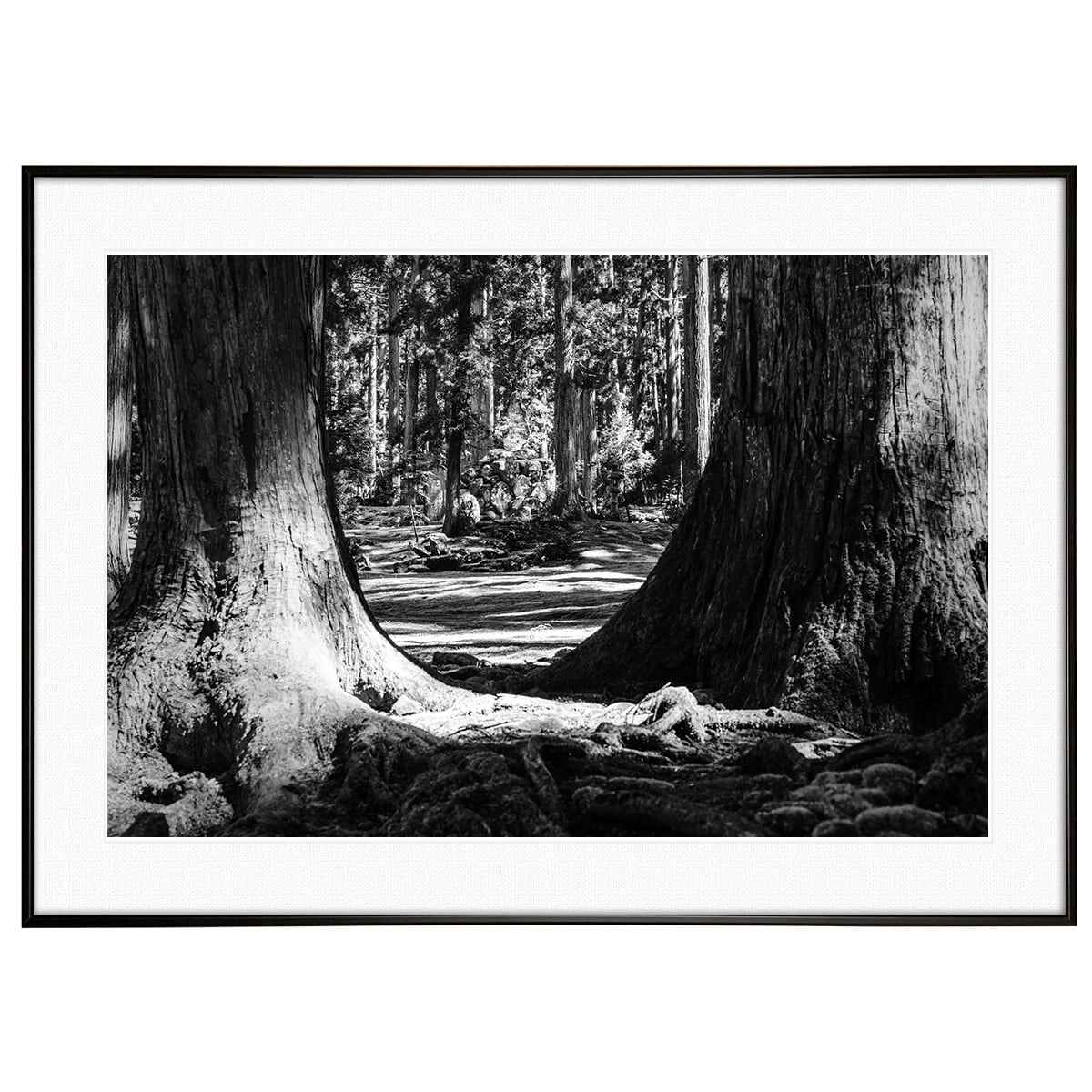 日本写真 紀伊半島南部 熊野古道 インテリア モノクロアートポスター