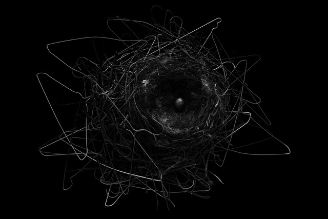 Crows Nest　ナショナルジオグラフィック国際フォトコンテスト受賞作品