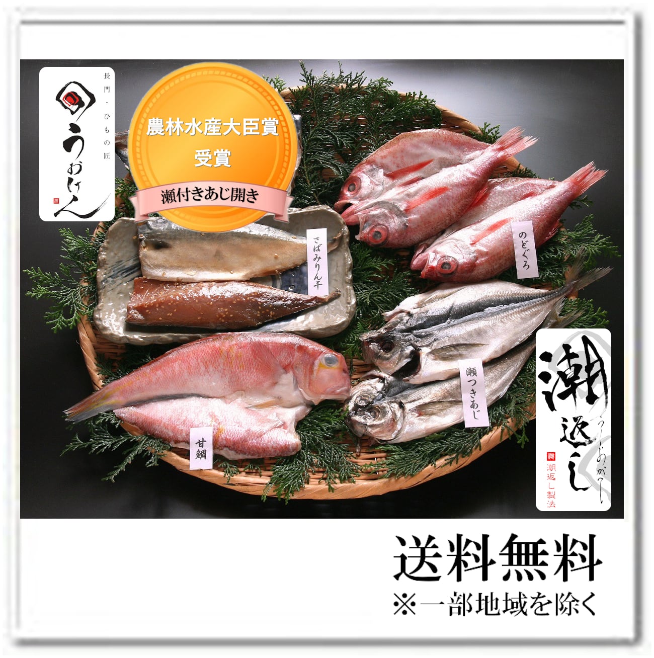 【送料無料】贈り物に最適！潮返し製法　魚健　山口北浦スペシャル　ひもの処