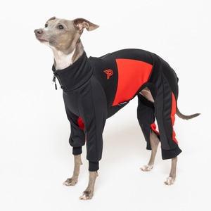 ドッグランジャージ　black × red  / イタグレ服