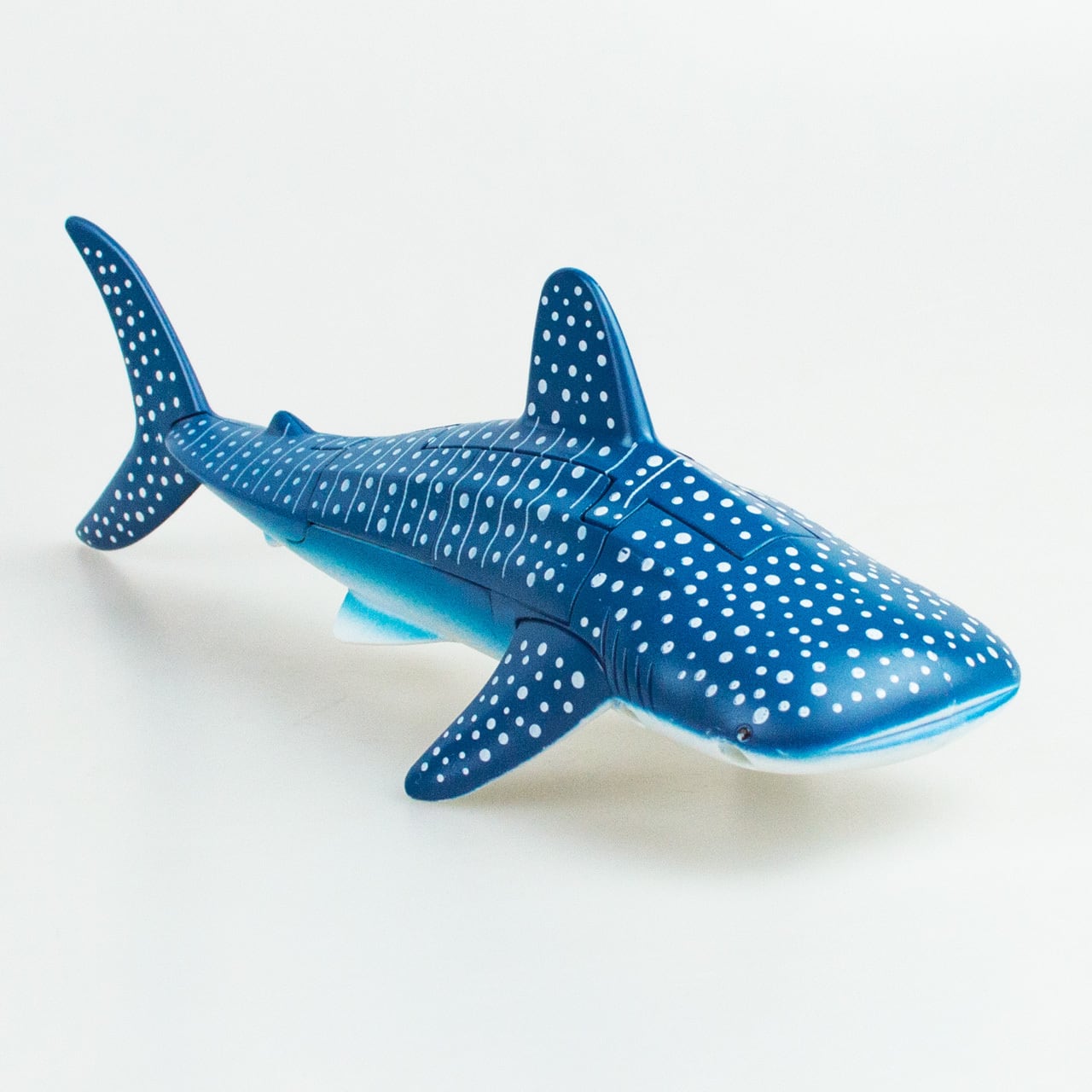 ジンベエザメセット まとめて Www Newpilates Com Br