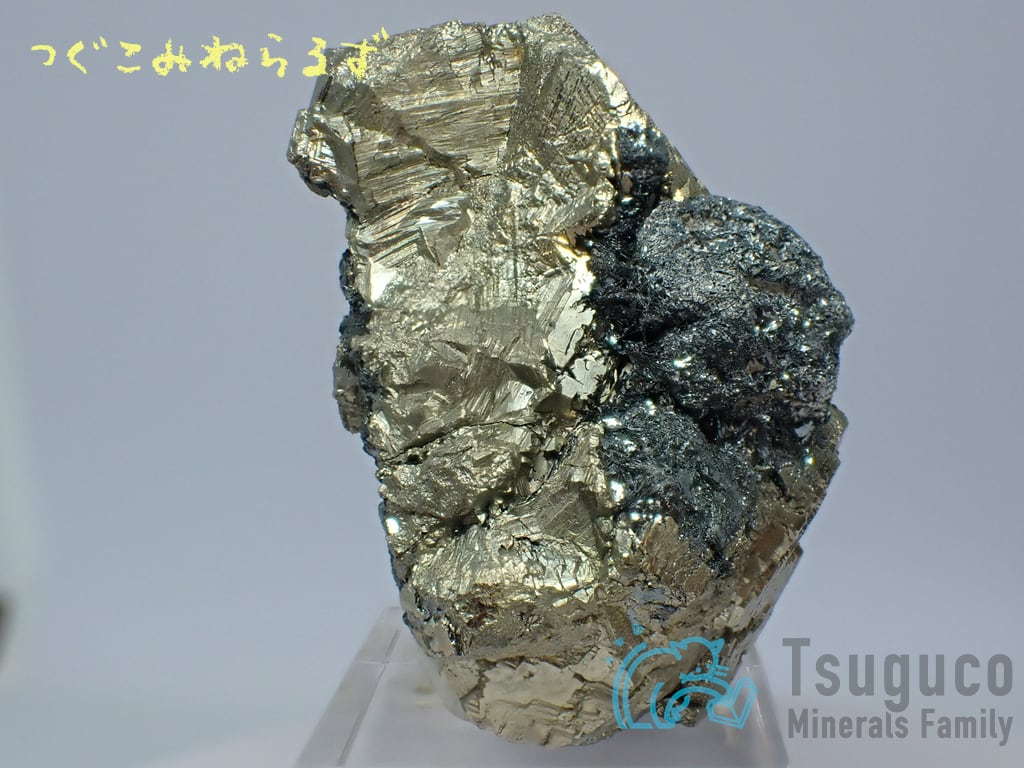 パイライト 黄鉄鉱 Pyrite イタリア TM-0042