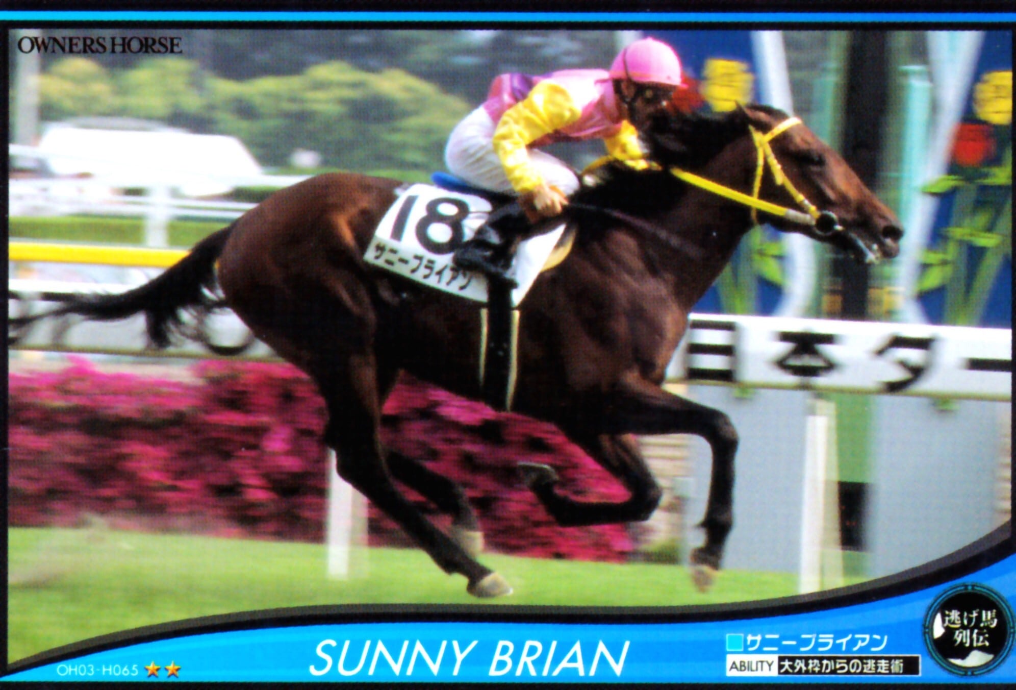 サニーブライアン「大外枠からの逃走術」OH03-H065 | Pay ID